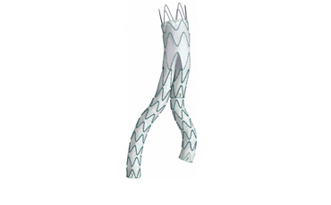 Endovascular